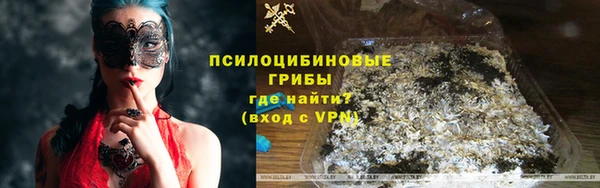 тгк Инсар