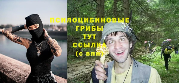 твердый Иннополис
