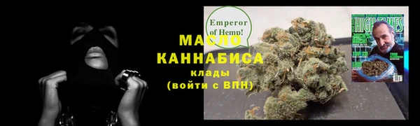 тгк Инсар