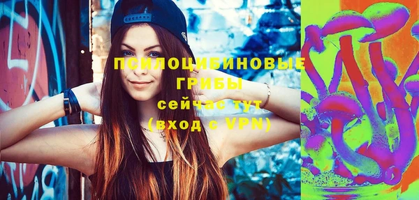 твердый Иннополис