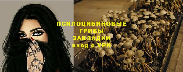тгк Инсар