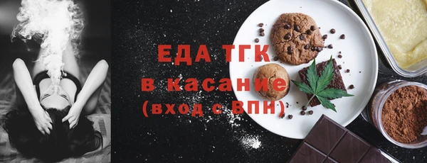 тгк Инсар