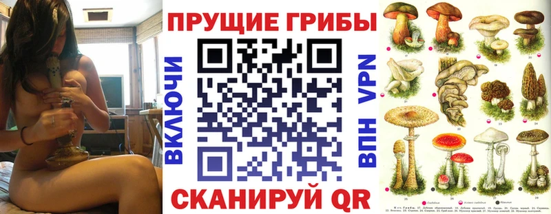 Псилоцибиновые грибы прущие грибы Приволжск